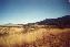 prairie